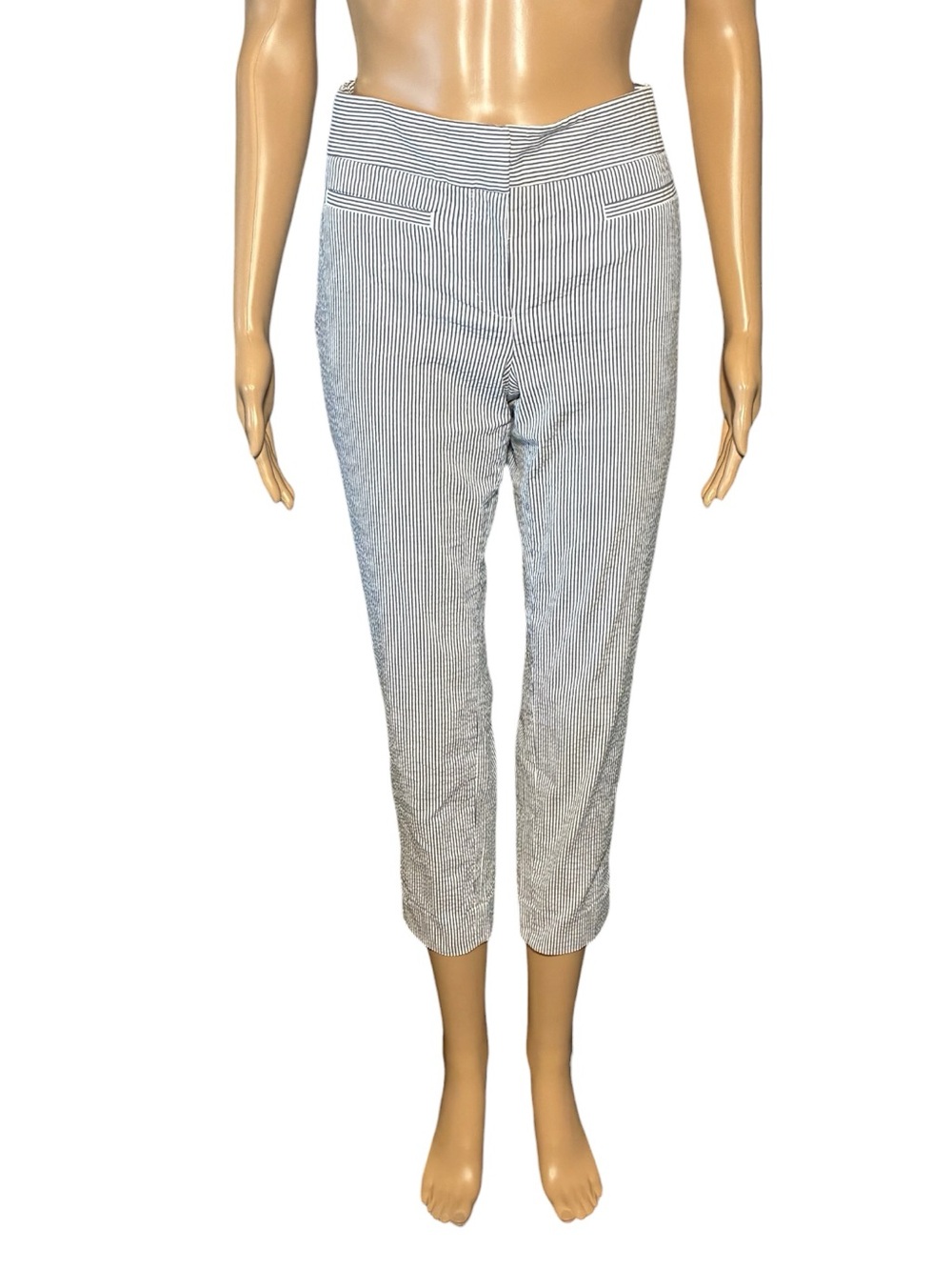 Ann Taylor Women's Striped Pants Size 2 Mid Rise Cotton Blend Stretch Pockets